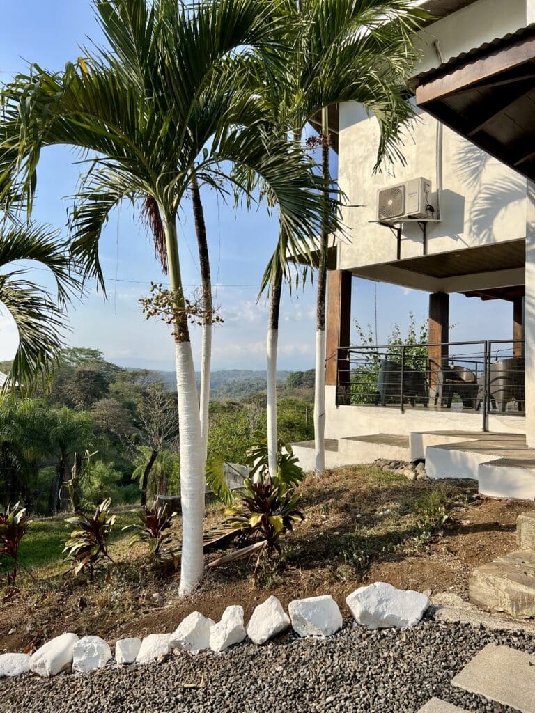 garden2