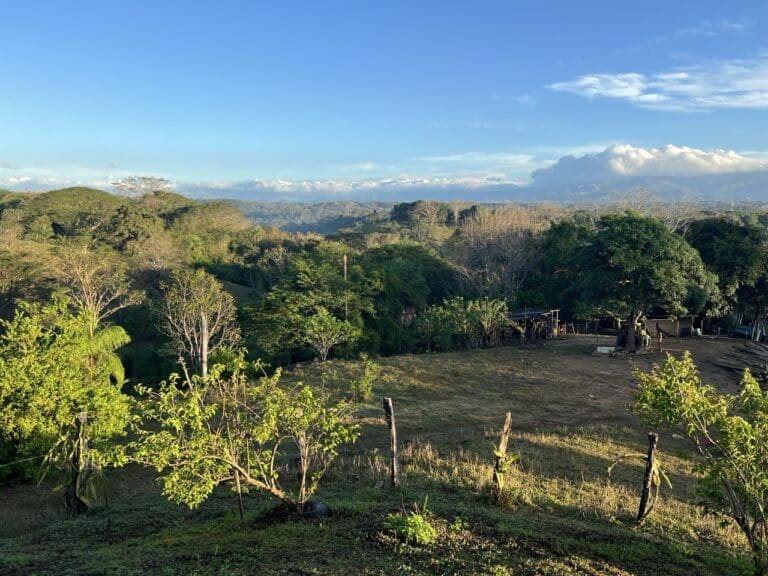 view2